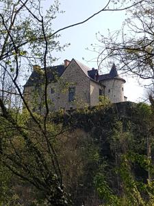 un castillo en la cima de una colina con árboles en Manoir de la coudre, en Changé