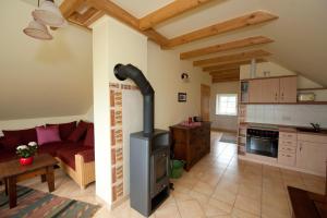 a kitchen and living room with a wood stove at Gästehaus Looks in Thiessow