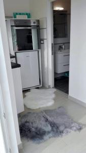 Kuchyňa alebo kuchynka v ubytovaní Studio Apartman Vortex