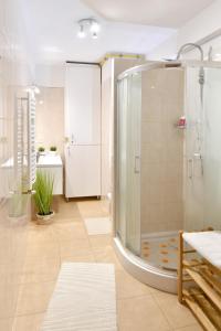 a bathroom with a shower and a sink at Zator Apartamenty Weekend in Zator