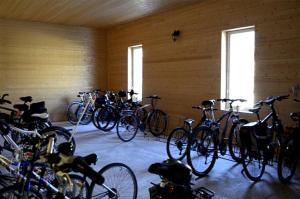 Jazda na bicykli v okolí ubytovania Blatský dvůr