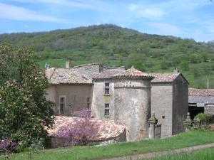 an old stone building with a mountain in the background at Domaine du Clap in Pranles