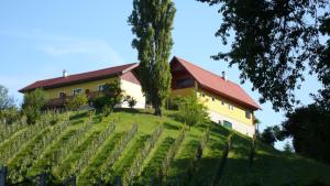 Zahrada ubytování Weingut- Gästezimmer Marko