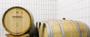 Fotografie z fotogalerie ubytování Weingut- Gästezimmer Marko v destinaci Leutschach