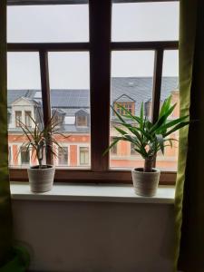 Fotografie z fotogalerie ubytování Phoenix v destinaci Chemnitz