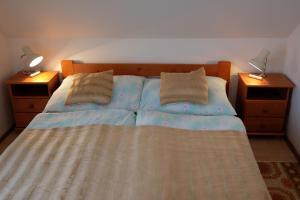 a bedroom with a bed with two night stands and two lamps at Apartmán Marta in Staré Splavy