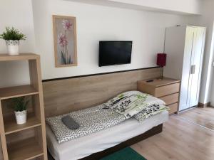 Μια τηλεόραση ή/και κέντρο ψυχαγωγίας στο Juno Apartman Vendégház