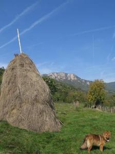 Billede fra billedgalleriet på Villa Cherven i Teteven