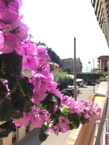 Kép Appartamento LE CONCHIGLIE Monterosso al mare szállásáról Monterosso al Maréban a galériában