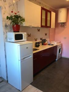 a kitchen with a white refrigerator and a microwave at Karla iela in Ventspils