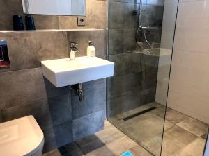 a bathroom with a sink and a shower at Bloemenboerderij Aperloo in Aperloo