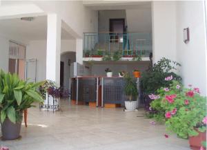 Imagen de la galería de Sani Family Hotel, en Byala