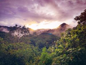 a view of a forest with the sun setting in the mountains at Paradise Wild Hills Kodachadri in Kollūru