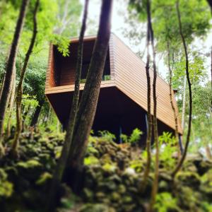 a house in the woods with trees at Caparica Azores Ecolodge in Biscoitos