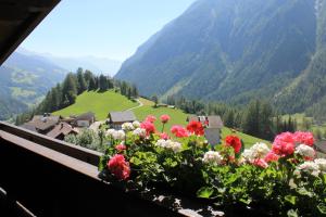 a bunch of flowers on a balcony overlooking a valley at AppHaus Sonne in Heiligenblut