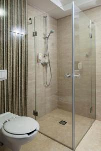a bathroom with a shower stall and a toilet at Borowinowy Zdrój Hotel Wellness Spa & Conference in Supraśl
