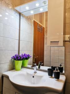 W łazience znajduje się umywalka z fioletowymi kwiatami. w obiekcie Apartman Ladybird w Puli