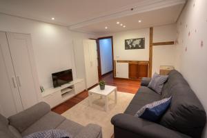 un soggiorno con divano e TV di Arax a San Sebastián