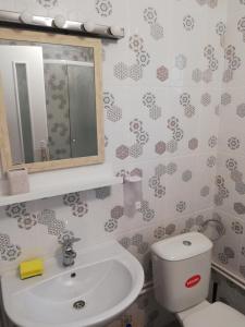 a bathroom with a toilet and a sink and a mirror at Casa Batranului Pescar - Old Fisherman's House in Jurilovca