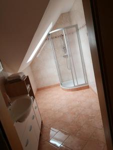 a bathroom with a shower and a sink at Eibenberger in Stubenberg