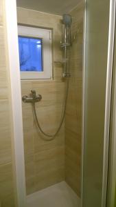 y baño con ducha y ventana. en Apartment Nad Punkvou, en Těchov