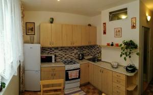 a small kitchen with a stove and a refrigerator at Apartmán v Jihlava City in Jihlava