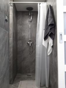 A bathroom at Belvárosi apartman Még 10 kép