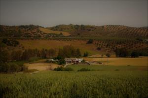 Táj Show country houses közelében