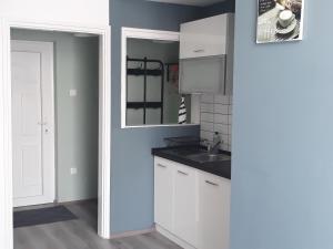 Kuchyň nebo kuchyňský kout v ubytování HEMNES Apartman