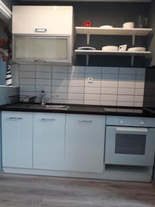 Kuchyň nebo kuchyňský kout v ubytování HEMNES Apartman