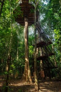 Ein Garten an der Unterkunft The Datai Langkawi