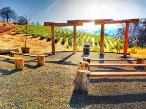 a group of wooden benches in front of a vineyard at Papillon Cellars - The Loft in Mariposa
