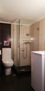 un bagno con wc e doccia in vetro di Filos Apt. under Acropolis ad Atene