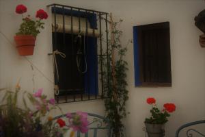 A garden outside Casa Rural Asiento del Río