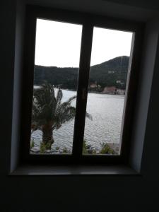 a window with a view of a palm tree at Villa Kukuljica in Zaton