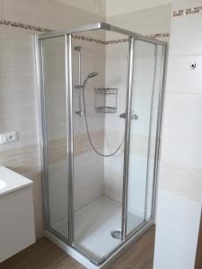 a shower with a glass enclosure in a bathroom at AGLI OLEANDRI in Gorizia
