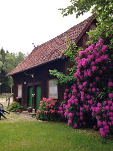a house with pink flowers in front of it at Reiterhof Winandy in Wietzendorf