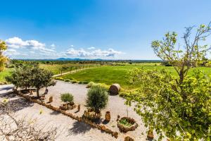 a garden with plants and trees in a field at Finca Agroturismo Sa Cova den Borino in Campos