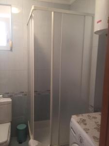 a bathroom with a shower and a toilet at Apartment Ejla in Medulin