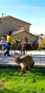 una mujer y un perro caminando en el césped en Quinta Damigo, en Seia