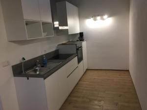 Kuchyň nebo kuchyňský kout v ubytování Ferienwohung Hirsch