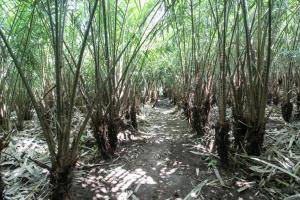 Fotografie z fotogalerie ubytování RedDoorz near Museum Gunung Merapi v destinaci Yogyakarta
