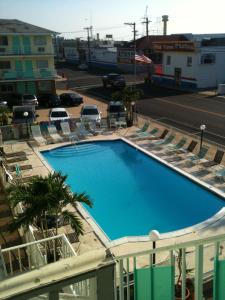 a large swimming pool with chairs and a street at Surfside Motel - Seaside Heights in Seaside Heights