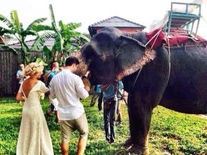 a bride and groom standing next to an elephant at Andalay Boutique Resort in Ko Lanta