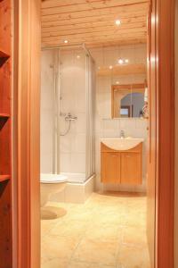 een badkamer met een wastafel, een douche en een toilet bij Haus Lenz Ferienwohnungen - Fam Ostermann in Puchberg am Schneeberg