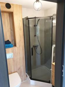 uma cabina de duche em vidro numa casa de banho com WC em VISTULA two-bedroom Apartment em Plock