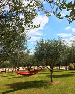 a red hammock in a field with trees at Seregnér Agricamping - Adults Only 18 - solo piazzole libere per camper, tende e roulotte in Monzambano