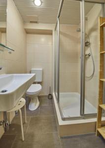 a bathroom with a shower and a sink and a toilet at Appartements Alpin in Saalbach Hinterglemm