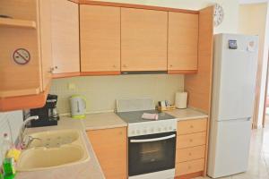 Kuchyň nebo kuchyňský kout v ubytování Alex Superior Apartment