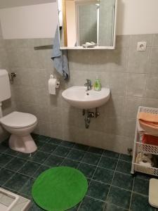 La salle de bains est pourvue d'un lavabo, de toilettes et d'un tapis vert. dans l'établissement Peaceful, cosy cottage near Kolpa river, à Gradac